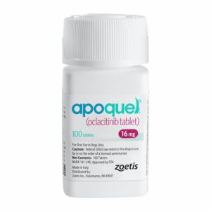 Apoquel medication bottle