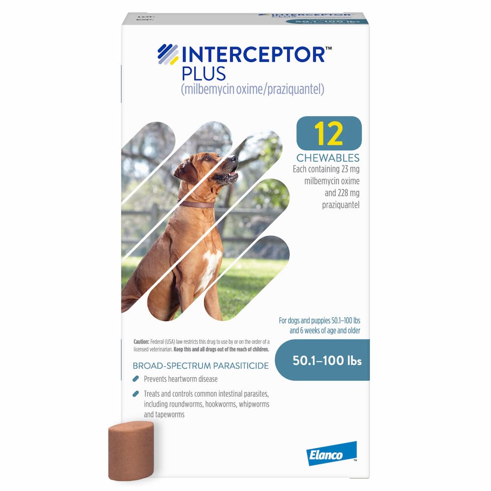 Interceptor Plus 12 month supply