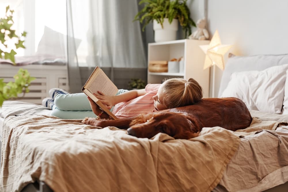 Child reading on bed with dog snuggling