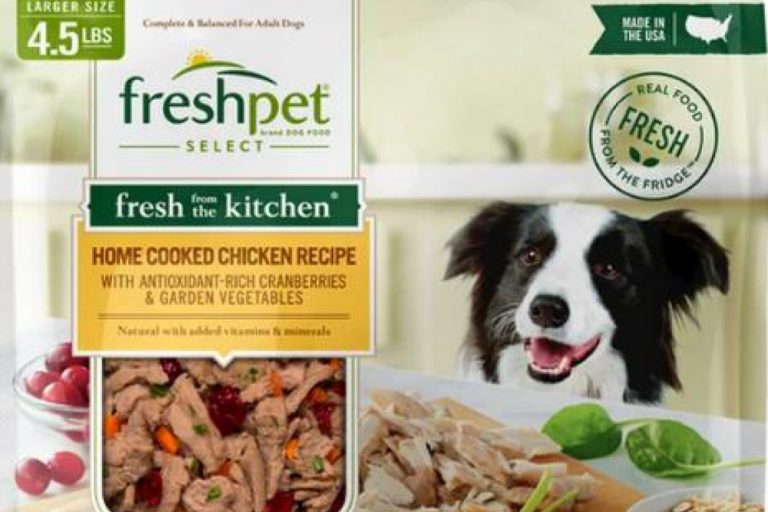 Fresh Pet dog food recall