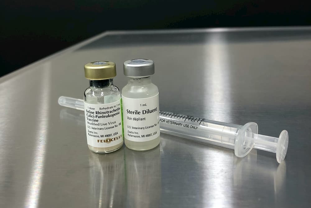 Zoetis-FVRCP-vaccine