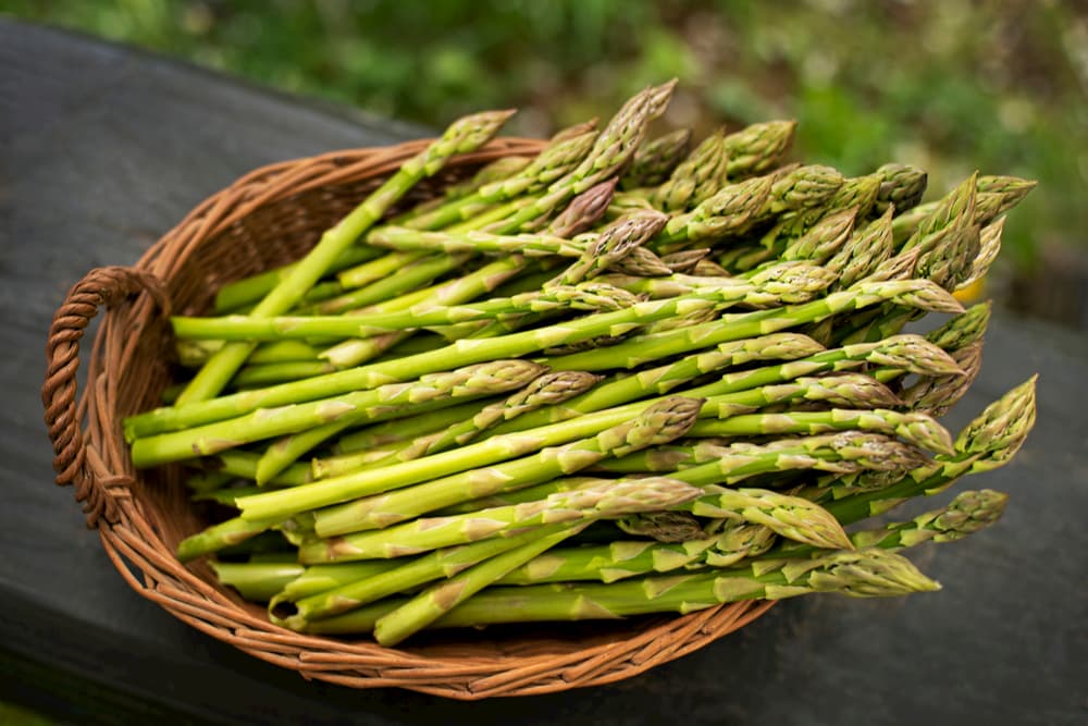Asparagus in a bowl