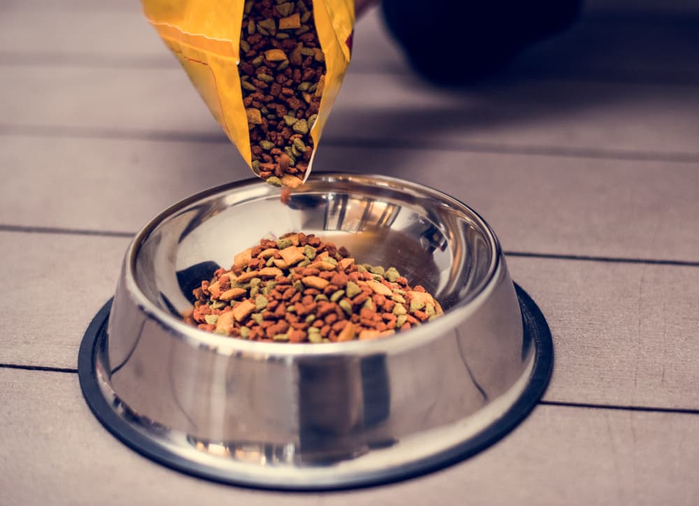 dog food pouring in bowl