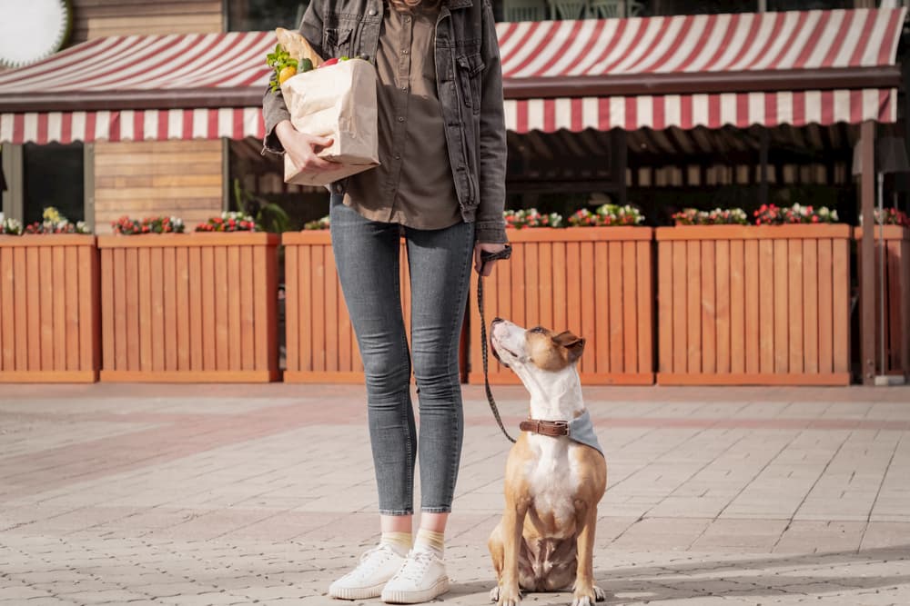 Woman with bag full of vegetables from store with dog