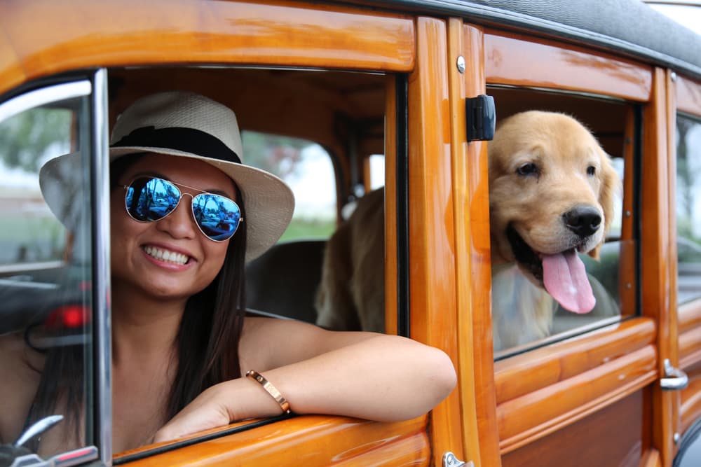 Woman with dog in classic car