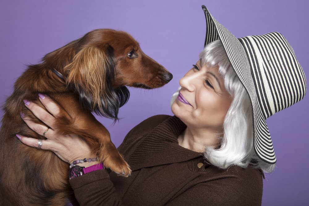 Golden Girlies: 111 Best Old Lady Names for Dogs