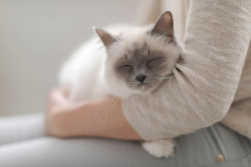 Woman holding cat with eyes closed