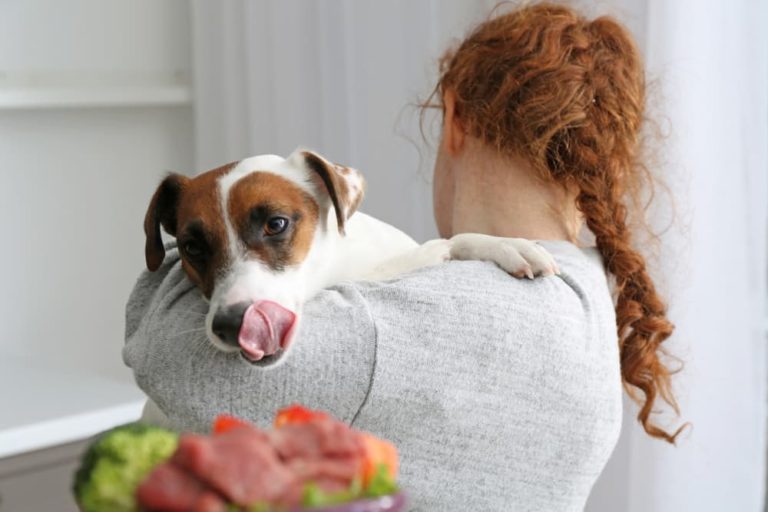 Woman holding dog looking at bowl of food