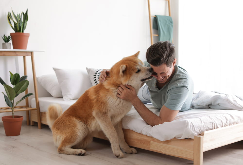 Man and dog with houseplants in bedroom