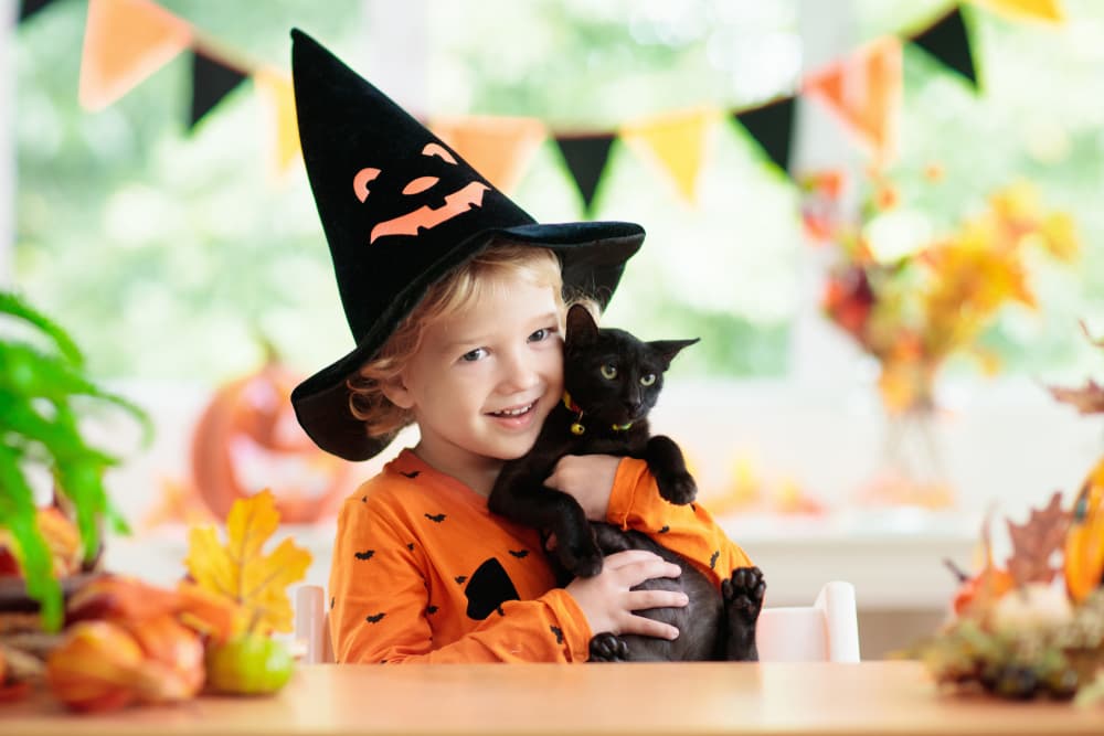 Kid holding black kitten with Halloween and fall decorations