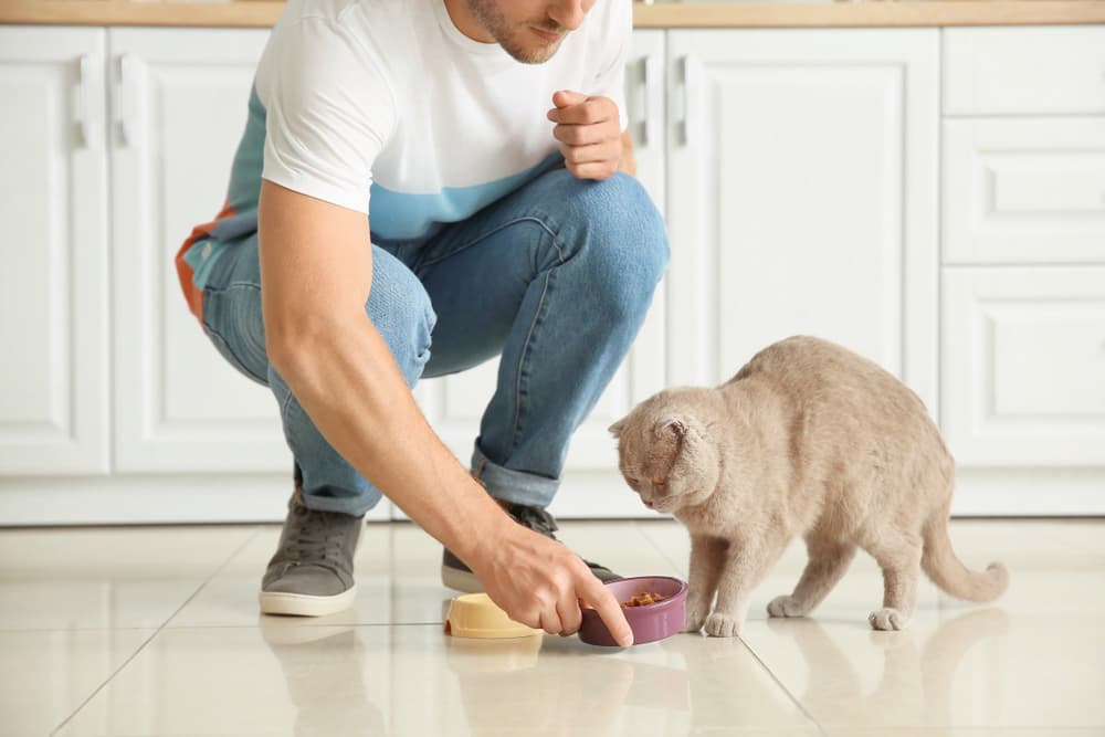 Man gives bowl of food to cat
