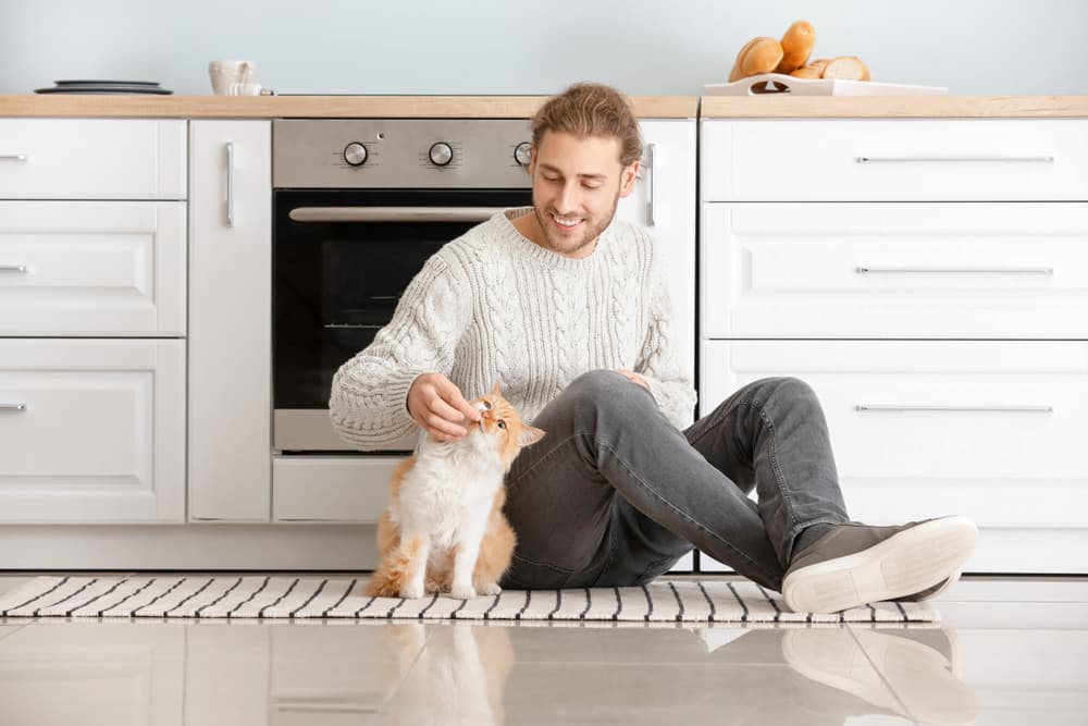 Man feeding his cat in the kitchen