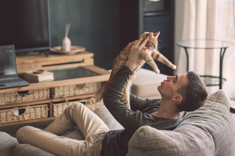 Man playing with cat