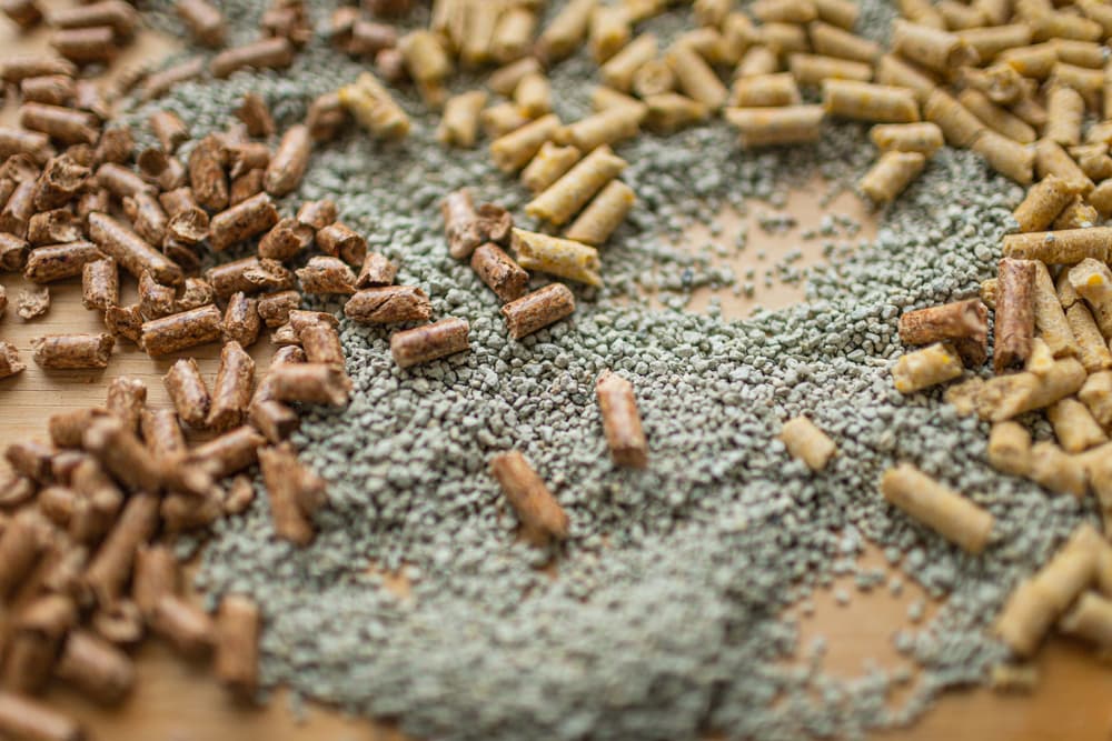Closeup of different types of cat litter