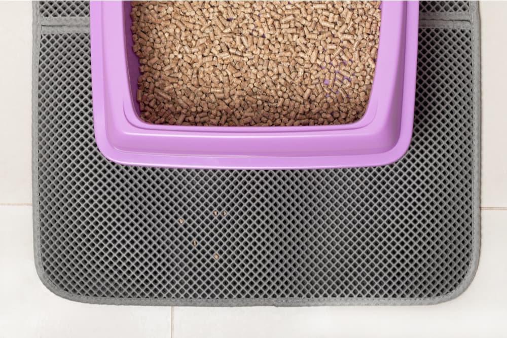 Close up on an ecological cat litter type