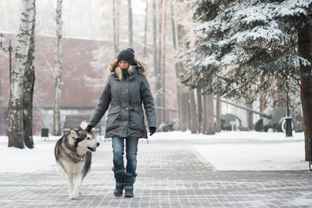 Woman walking dog in Alaskan city