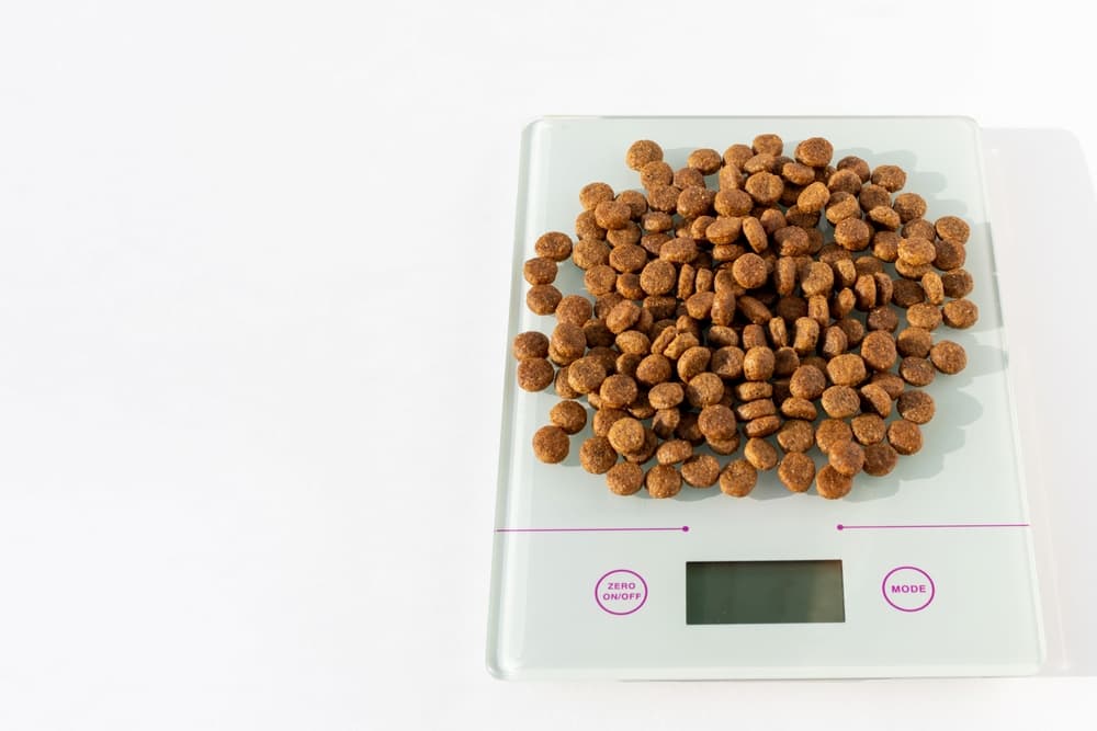 Weighing cat food on scale
