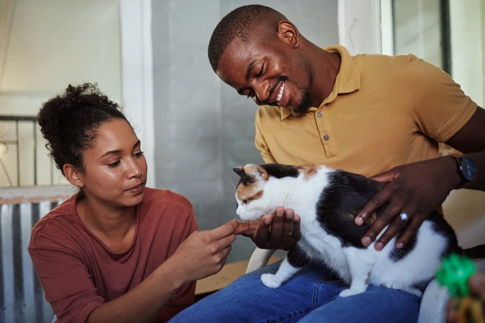 Couple shows affection to their cat