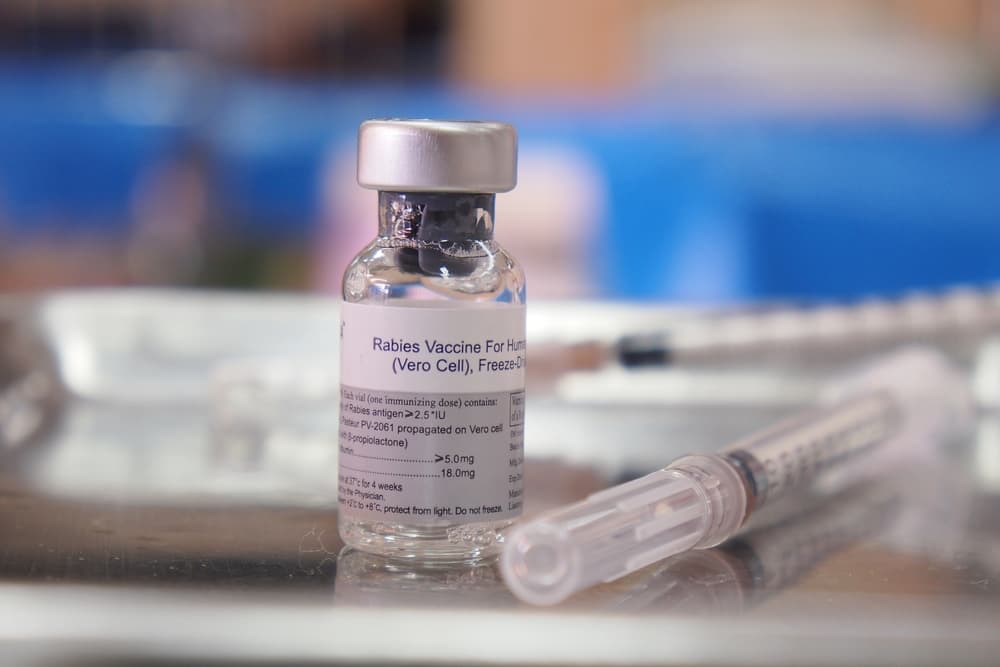 Rabies vaccine on table