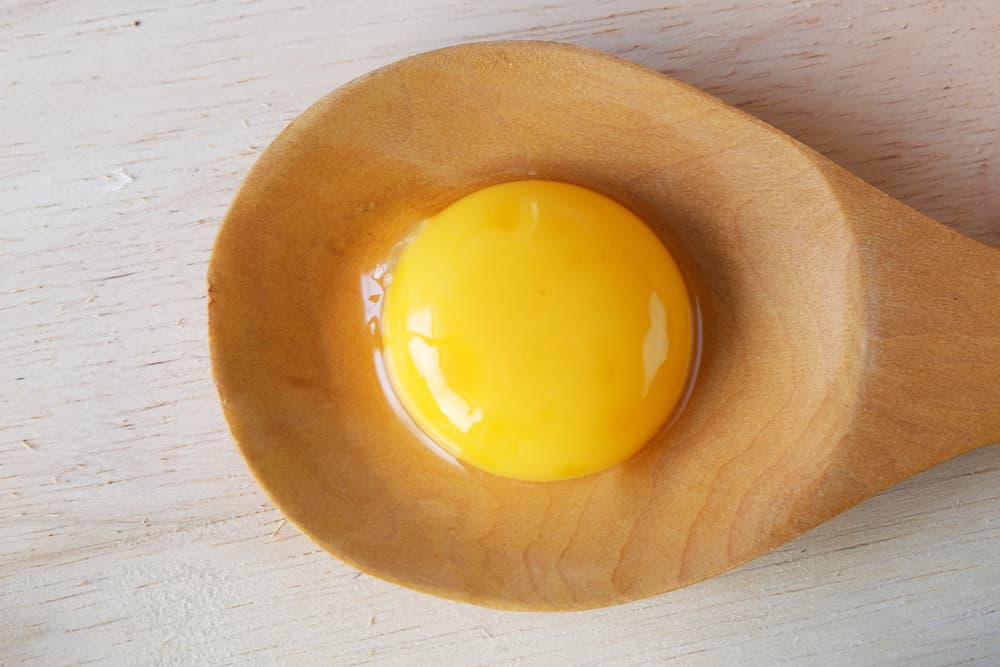Egg yolk on spoon