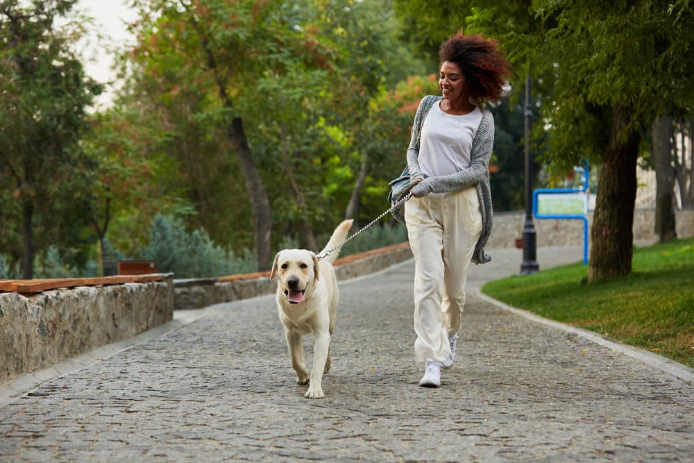 Woman exercising with dog