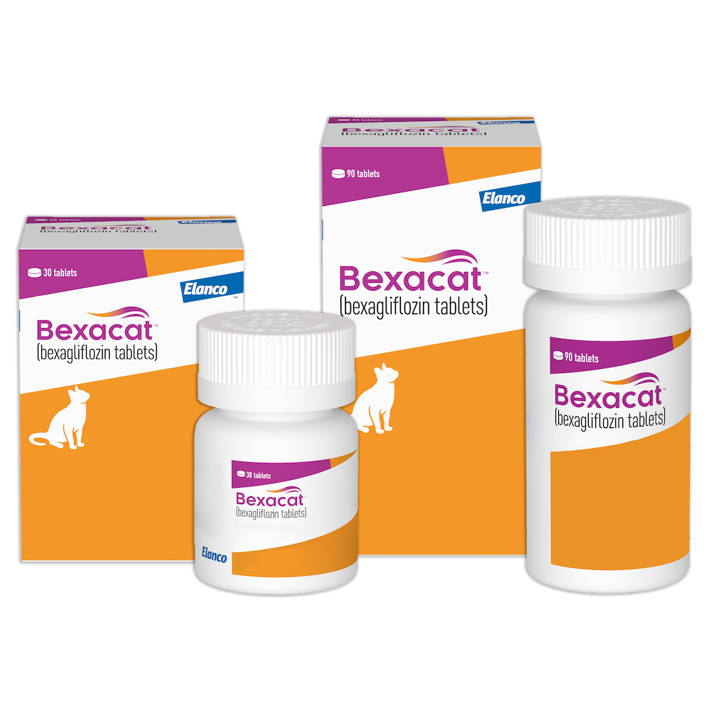 Bexcat feline medication for diabetes